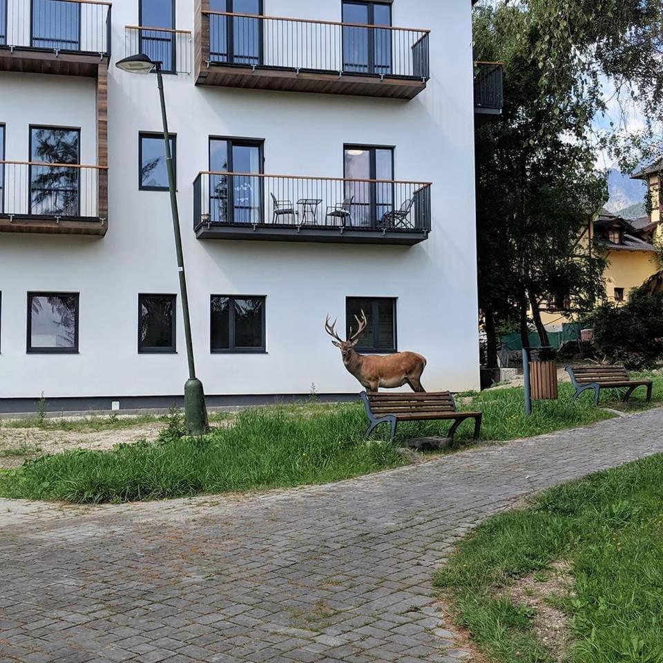 Apartmán Hory - V srdci Tatier Vysoké Tatry Exterior foto